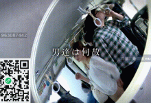 【补档】重温经典番号非常漂亮的妹子穿着包臀裙遇到电车痴汉①-解解图解